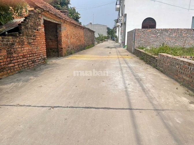 chính chủ cần bán 50m thổ cư tại tổ 9 quang minh sát với kcn và kdt