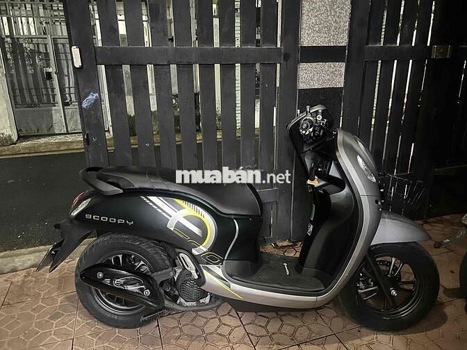 chán scoopy cần bán
