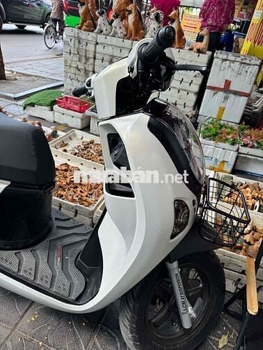 Cần bán Scoopy Indo đki t5/2025