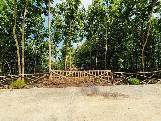 Mảnh vườn đón gió lồng lộng từ hồ Trị An siêu trong lành, mát mẻ