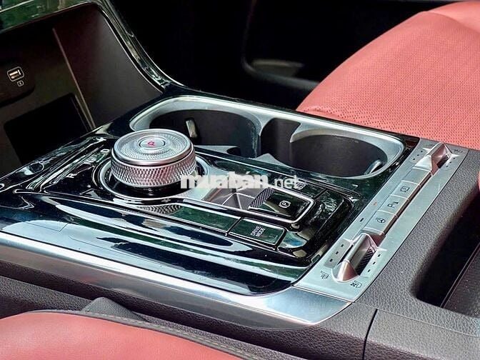 Carnival Sig 2023, Đi 53.000km, 1 Chủ Zin 100%
