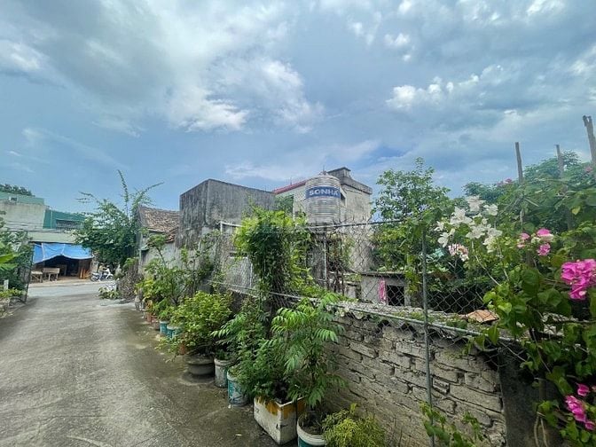 Bán đấu giá thưởng đất tại Phố Phong Lạc, xã Nho Quan, tỉnh Ninh Bình