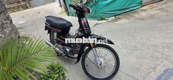 Strea 100cc