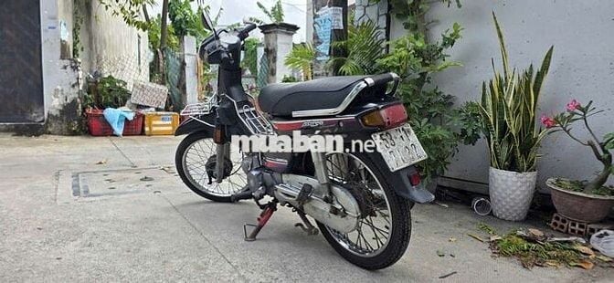 Strea 100cc