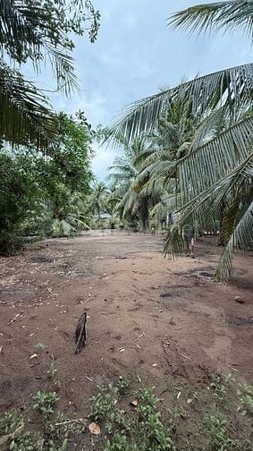 BÁN ĐẤT CÔNG NGHIỆP – 825M² (15x55) – CÁCH QL57 CHỈ 500M – ĐA PHƯỚC HỘ