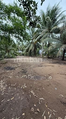BÁN ĐẤT CÔNG NGHIỆP – 825M² (15x55) – CÁCH QL57 CHỈ 500M – ĐA PHƯỚC HỘ