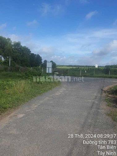 Công ty Đấu giá hợp danh Lam Sơn Sài GònTHÔNG BÁO ĐẤU GIÁ TÀI SẢN