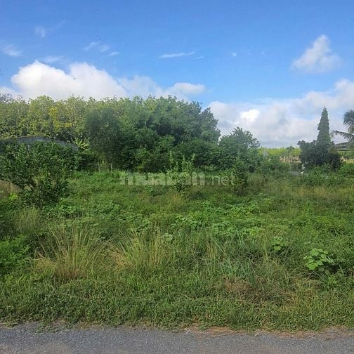 Công ty Đấu giá hợp danh Lam Sơn Sài GònTHÔNG BÁO ĐẤU GIÁ TÀI SẢN