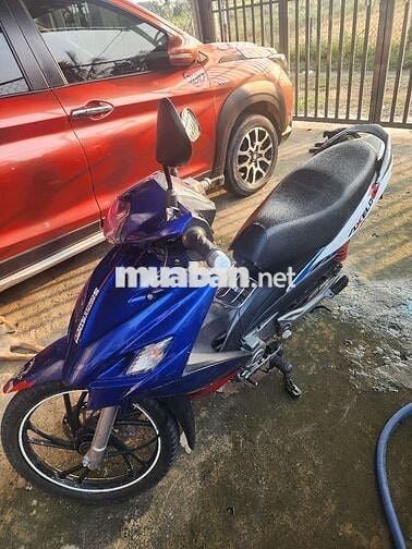 Can ban suzuki axelo