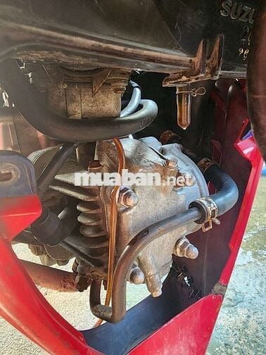Can ban suzuki axelo