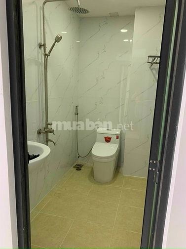 Bán gấp MT Lạc Long Quân đoạn đẹp Quận 11, 4x12.5, 3 tầng, 16.5 tỷ TL 