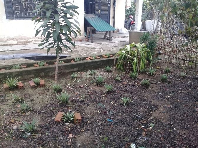 Bán đất nông nghiệp đường Huyền Trân Công Chúa thành phố Đà Lạt 