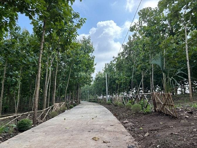 VỀ VƯỜN NGHỈ DƯỠNG VIEW SUỐI CỰC ĐẸP GẦN HỒ TRỊ AN CHỈ 850TR TRỌN SỔ