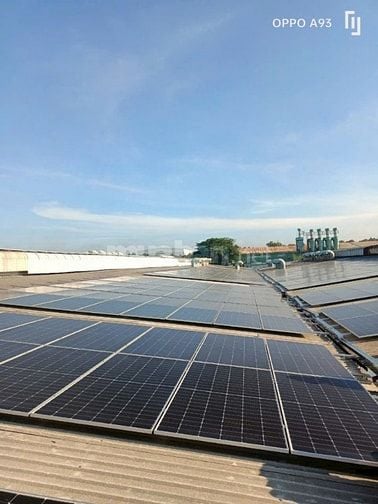 PIN NĂNG LƯỢNG MẶT TRỜI JINKO SOLAR