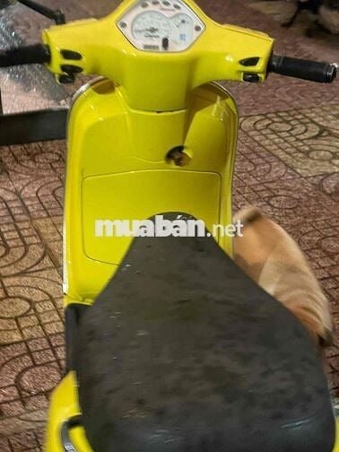 Bán xe Vespa 150 nhập ý, Bstp đời 2009.xe đẹp gtdd