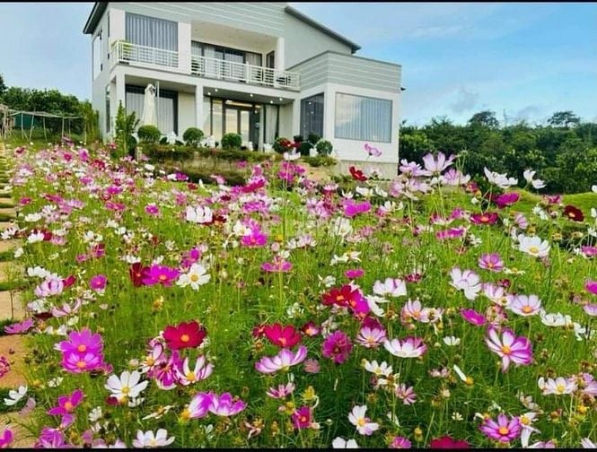 nhà biệt thự vườn 6000m2 ven đà lạt