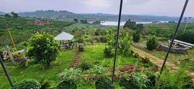 nhà biệt thự vườn 6000m2 ven đà lạt