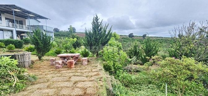 nhà biệt thự vườn 6000m2 ven đà lạt