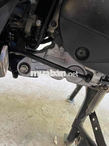 ab125 cọp