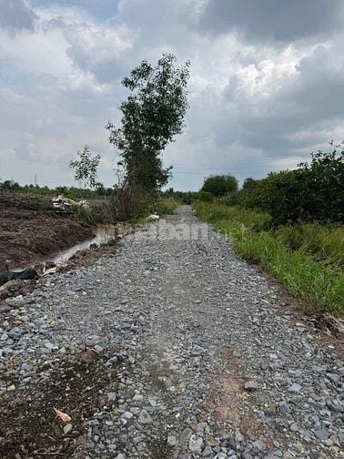 Bán 500m2 đất vườn (ngang 9m dài 49m) đường đá xanh 399 triệu