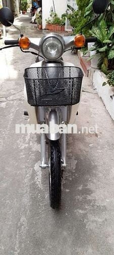 Xe Cub 50
