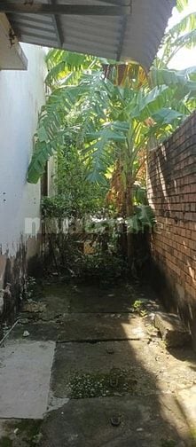 Bán nhà mặt tiền đường Bạch Đằng, Thành Phố Trà Vinh, 4x30m, nở hậu