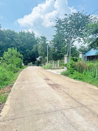 Đường lớn vào 50m, giá nhỏ xíu 330tr