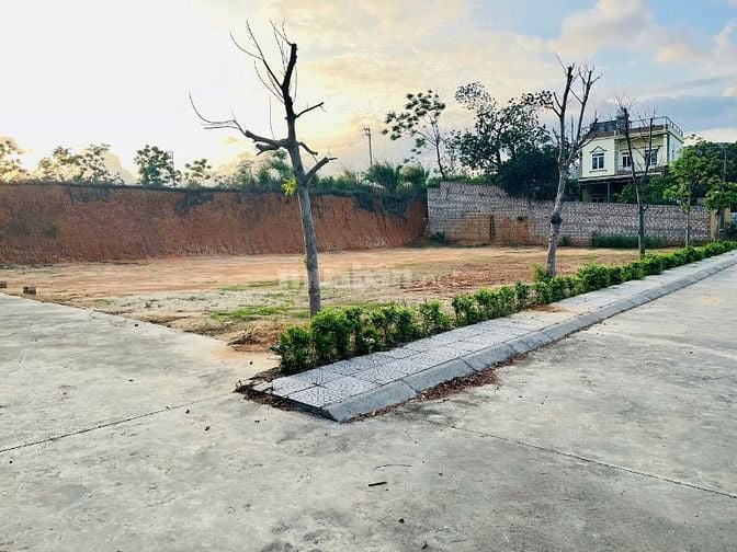 5 lý do nên mua đất tại Phường Mạo Khê (Quảng Ninh) – xem là muốn mua!