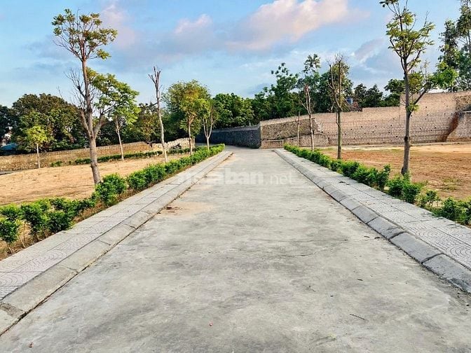 5 lý do nên mua đất tại Phường Mạo Khê (Quảng Ninh) – xem là muốn mua!