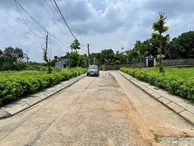 5 lý do nên mua đất tại Phường Mạo Khê (Quảng Ninh) – xem là muốn mua!