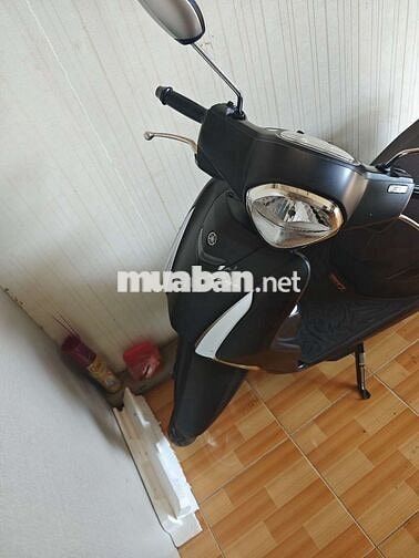 Thanh lý xe Yamaha latte 2024