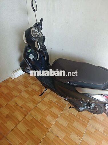 Thanh lý xe Yamaha latte 2024