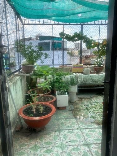Bán nhà hẻm 91 Nguyễn Văn Nghi. Diện tích 97.5m² - Sổ hồng riêng.