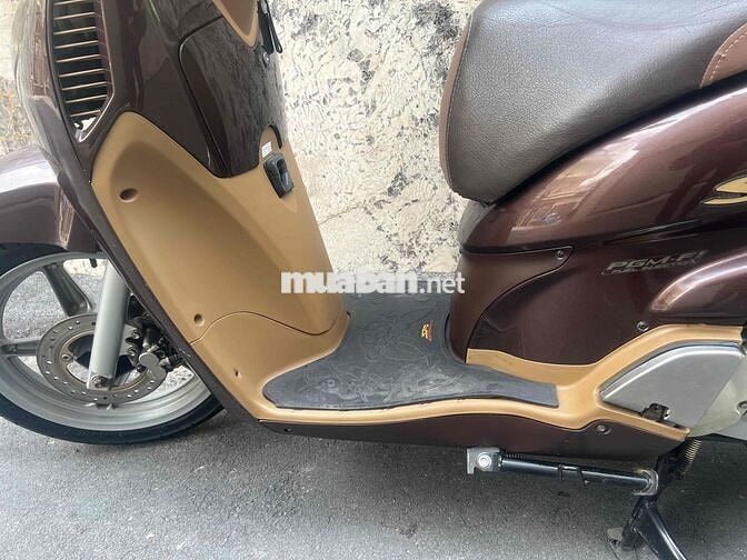 SH cọp odo thấp biển 97F8-7777