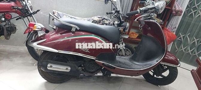 Bán xe Cello thời trang