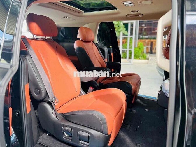 CARNIVAL SIGNATURE DẦU 2022