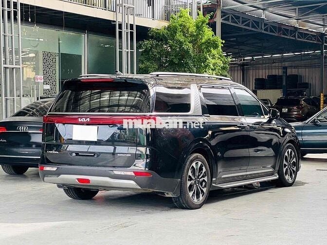 CARNIVAL SIGNATURE DẦU 2022
