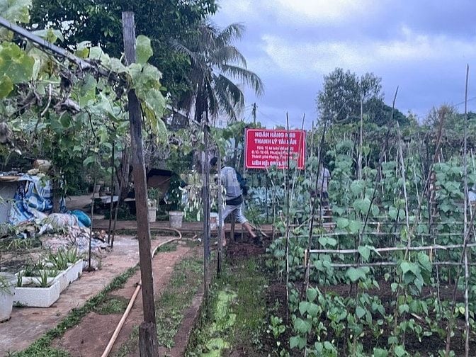 CÔNG TY ĐẤU GIÁ HỢP DANH MINH PHÁP THÔNG BÁO ĐẤU GIÁ TÀI SẢN