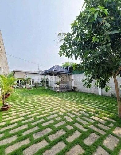 BÁN NHÀ VƯỜN ĐƯỜNG HẺM TRẦN ĐẠI NGHĨA