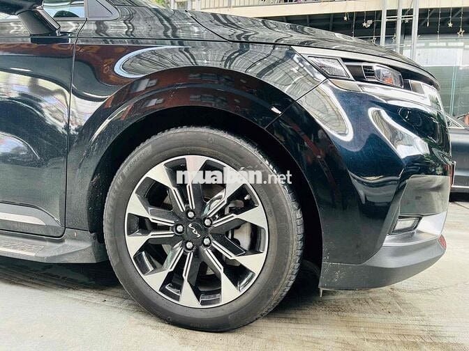 CARNIVAL SIGNATURE DẦU 2022