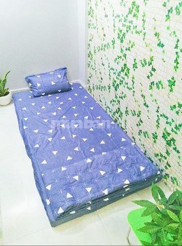 Phòng 1 người giá rẻ cho sinh viên, mới đi làm, Tân Phú gần Tân Bình