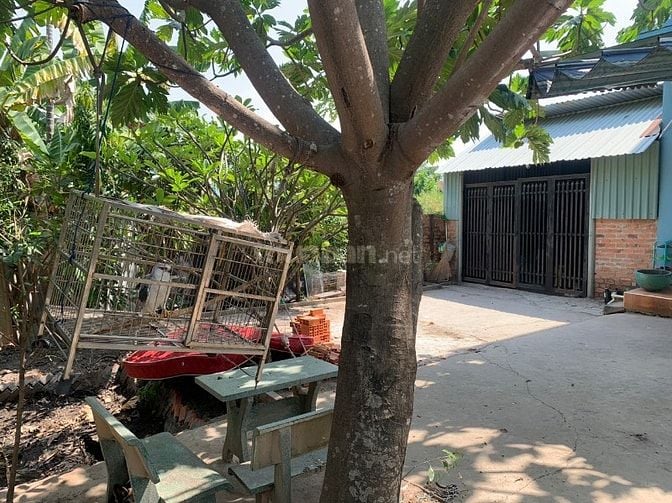 Bán nhà đất sổ Hồng riêng, mặt tiền ở Nhị bình, Hóc môn