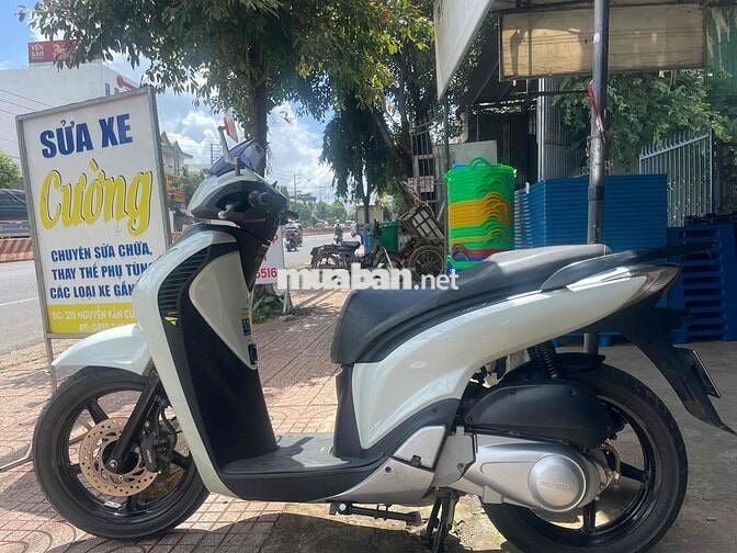 cần ra đi em sh 3 cục