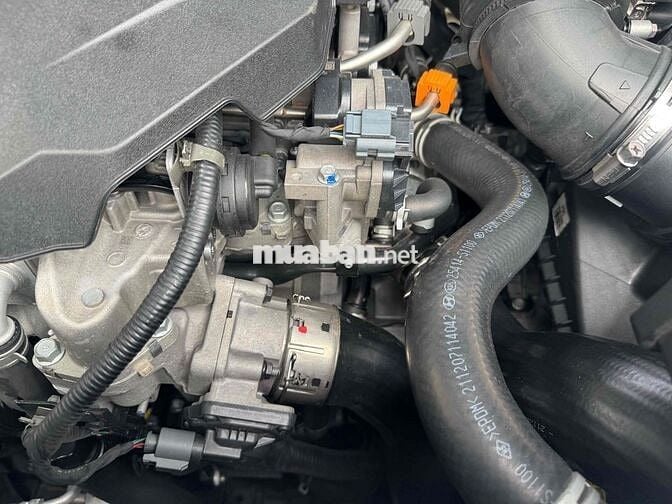 Kia Carnival 2022 2.2D Luxury 8 chỗ - 50000 km