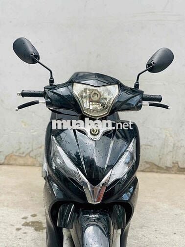 SYM shark biển 71
