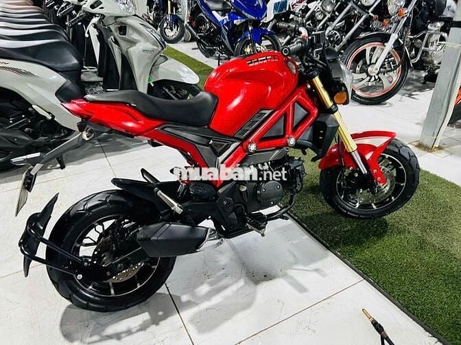 XE MÁY PHÚ THỊNH -DUCATI MINI - HỖTRỢTRẢGÓP