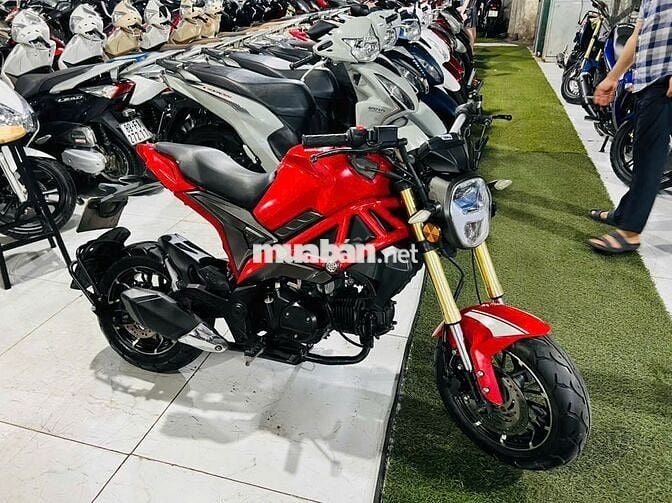 XE MÁY PHÚ THỊNH -DUCATI MINI - HỖTRỢTRẢGÓP