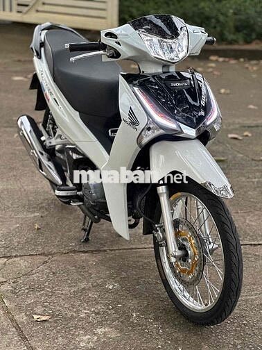 Fu led 2022 zin kiểng có góp
