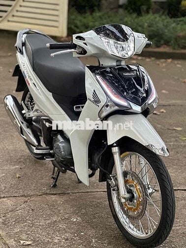 Fu led 2022 zin kiểng có góp