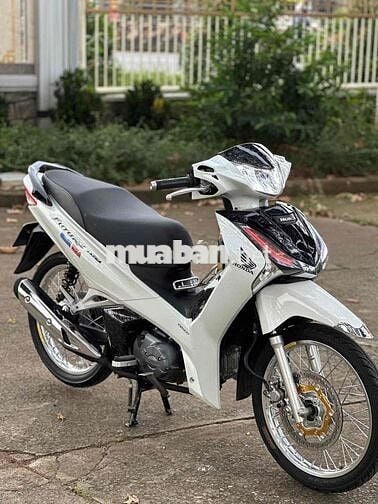 Fu led 2022 zin kiểng có góp